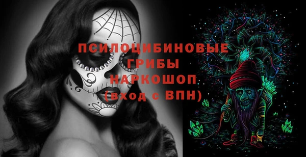 твердый Белокуриха
