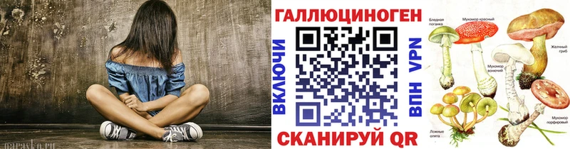 закладки  Гремячинск  Псилоцибиновые грибы Cubensis 